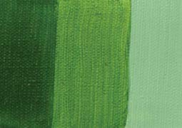Extra Fine Oil Paint