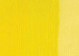 Extra Fine Oil Paint