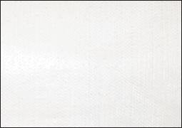 Extra Fine Oil Paint
