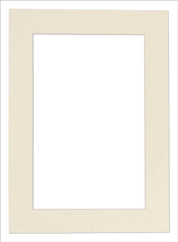 Pack of 25 Acid Free 11x14 Mats Bevel Cut for 9x12 Photos (25 Count)