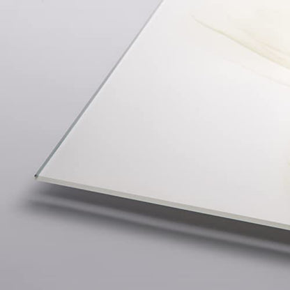 Frameless Free Floating Tempered Glass Panel Graphic Wall Art Ready to Hang