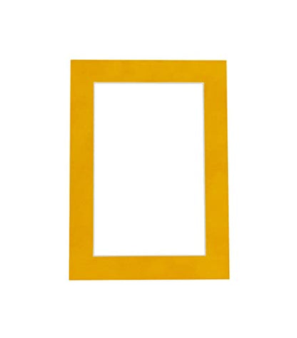 Pack of 25 Acid Free 11x14 Mats Bevel Cut for 8.5x11 Photos (25 Count)