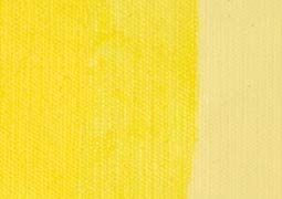 Extra Fine Oil Paint