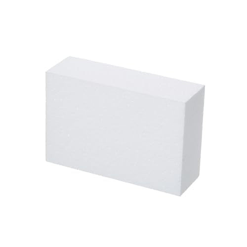 8 Pack Crafare Craft Foam Blocks 6x4x2in Polystyrene Brick Arts & Projects (8 Count)