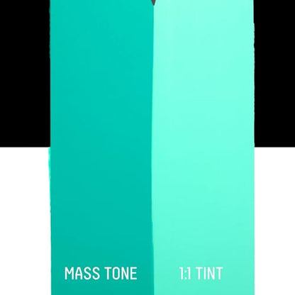 Heavy Body Acrylic Paint (2 Fl Oz)