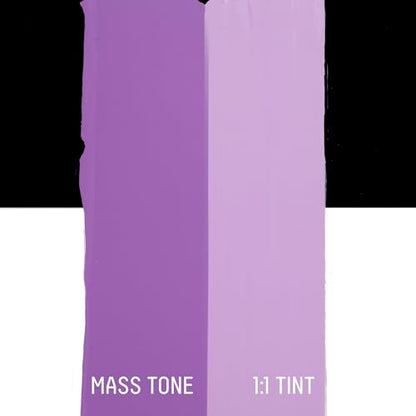 BASICS Acrylic Paint (8.45 Fl Oz)