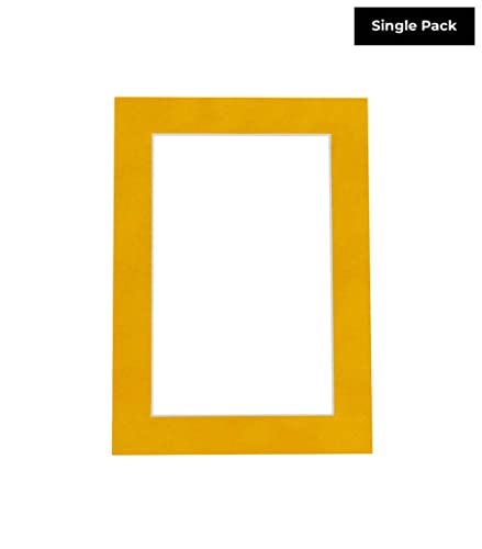 11x14 Mat Bevel Cut for 9x12 Photos