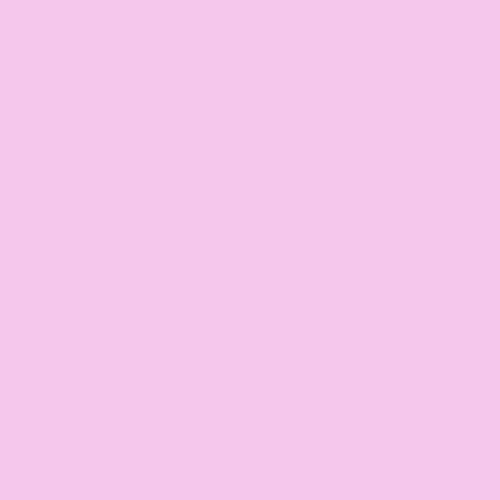 Chalkboard Blackboard Paint (8.5 Fl Oz)