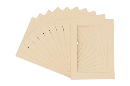 Pack of Ten 8x10 Mats Bevel Cut for 6x8 Photos (10 Count)