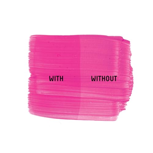 BASICS Matte Varnish (8.4535 Fl Oz)
