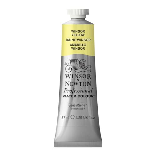 Professional Watercolor