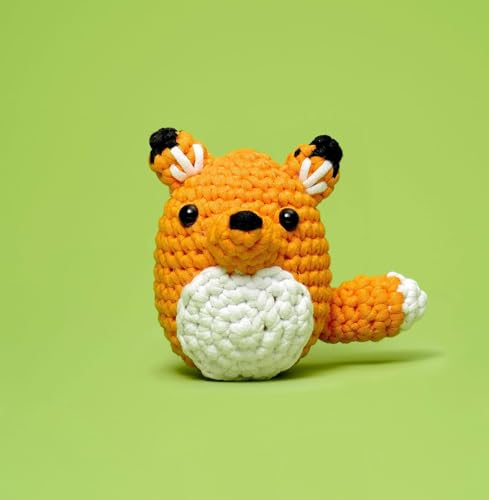 Crochet Kit for Beginners