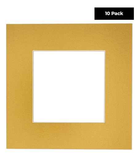 Pack of TEN 11x14 Mats Bevel Cut for 9x12 Photos (10 Count)