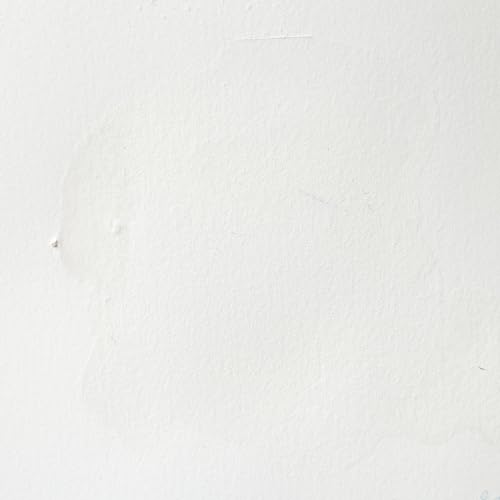 Professional Watercolor