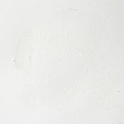 Professional Watercolor