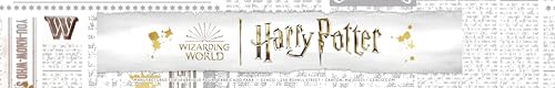 Thomas Kinkade Harry Potter