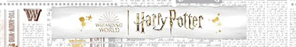 Thomas Kinkade Harry Potter