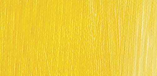 CRYL Studio Artist Acrylic Paint (16.91 Fl Oz)