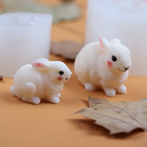 2 Pack Hairy Rabbit Silicone Mold for Candle