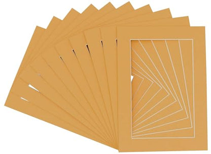 Pack of Ten Acid Free 11x14 Mats Bevel Cut for 9x12 Photos (10 Count)