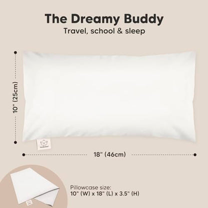 Toddler Pillow with Pillowcase