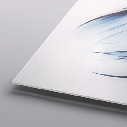 Frameless Tempered Glass Wall Art