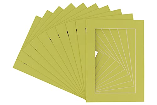 Pack of Ten Acid Free 11x14 Mats Bevel Cut for 9x12 Photos (10 Count)