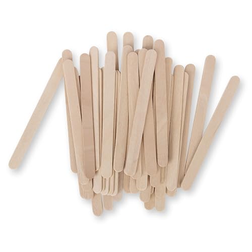 1000 Pcs Popsicle Stick (1000 Count)