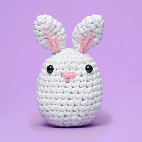 Crochet Kit for Beginners (4 Count)