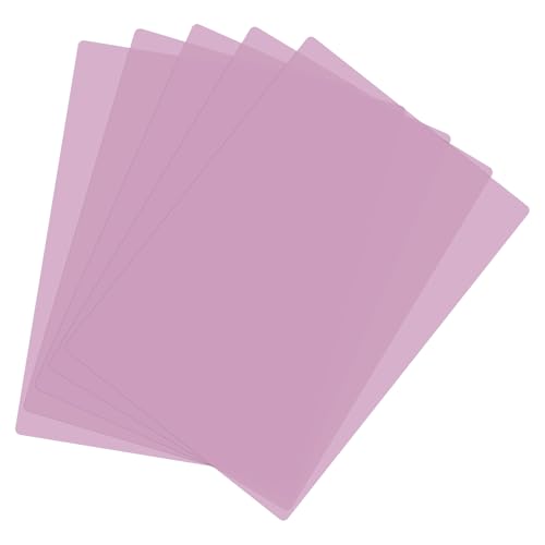 A4 Guided Reading Sheet (5 Count)