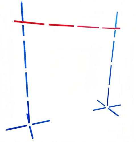 46 Piece Limbo Game for Kids and Adults