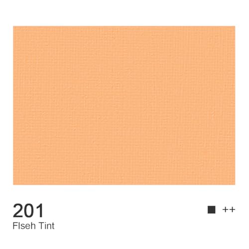 Flesh Tint Acrylic Paint (4 Fl Oz)