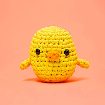 Crochet Kit for Beginners