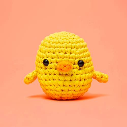 Crochet Kit for Beginners
