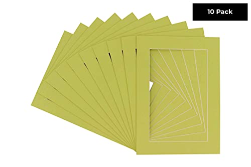 Pack of Ten Acid Free 8x10 Mats Bevel Cut for 5x8 Photos (10 Count)