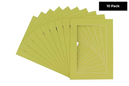Pack of Ten Acid Free 8x10 Mats Bevel Cut for 5x8 Photos (10 Count)