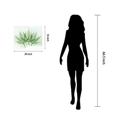 Frameless Free Floating Tempered Glass Panel Graphic Wall Art Ready to Hang