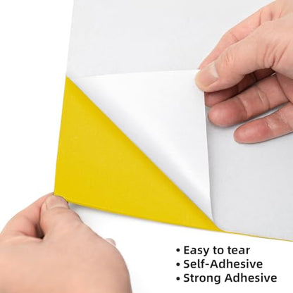 Self Adhesive Foam Sheets (10 Count)