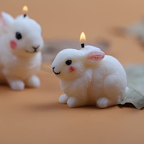 2 Pack Hairy Rabbit Silicone Mold for Candle
