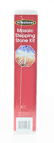 Mosaic Stepping Stone Kit