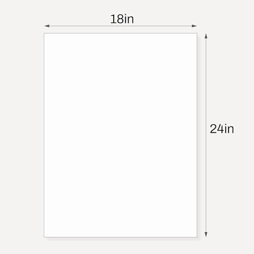 10 Pack Backing Boards (10 Count)