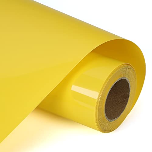 RENLITONG Heat Transfer Vinyl (10 Foot)