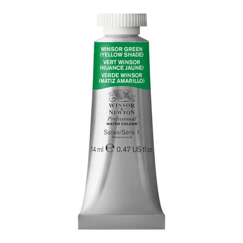 Professional Watercolor