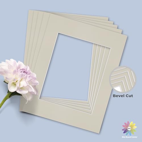 Mat Board Center 10 Pack 11x14 Photo Mats for 8x10 Picture (10 Count)