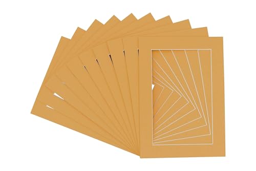 Pack of Ten Acid Free 11x14 Mats Bevel Cut for 8.5x11 Photos (10 Count)