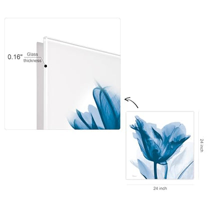 Frameless Free Floating Tempered Glass Panel Graphic Wall Art Ready to Hang