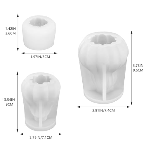 3PCS 3D Pumpkin Silicone Mold (3 Count)
