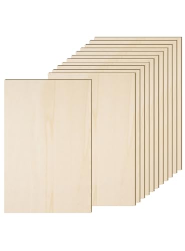 12 Pack 12 x 16 x 1 (21.6 Sq Ft)