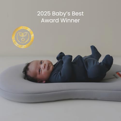 Organic Newborn Baby Infant Lounger Pillow & Tote Bag