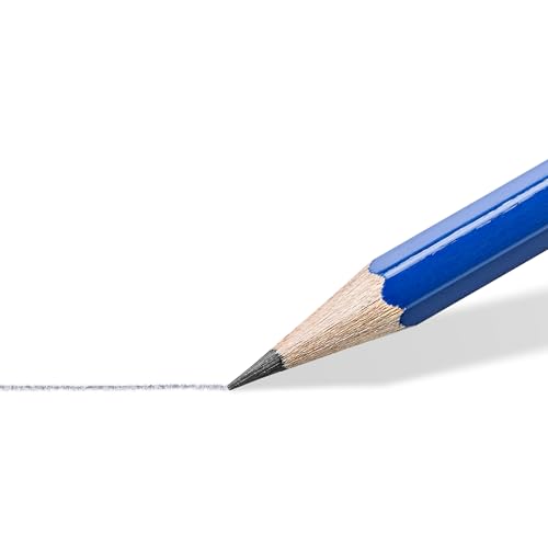 Norica Pencil Set (101 Count)